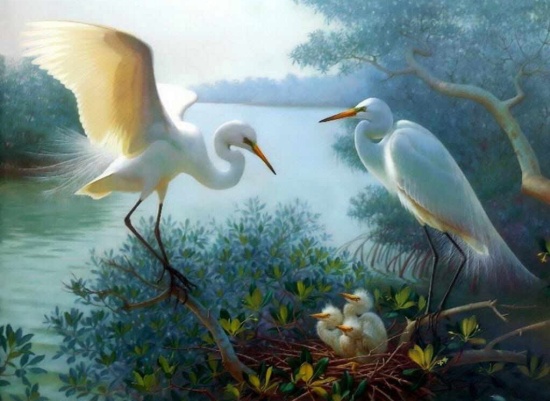 Immagine da memorizzare